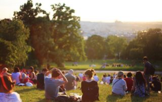 people on lawn